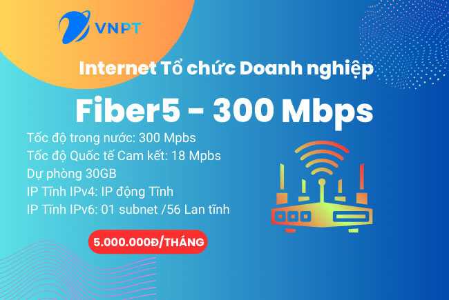 Lắp Cáp quang VNPT Đồng Nai, Gói FiberEco5 300Mbps