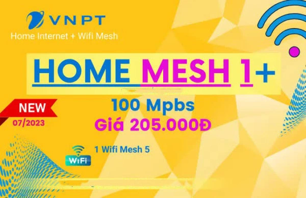  Gói Mesh 1+ 100 Mbps