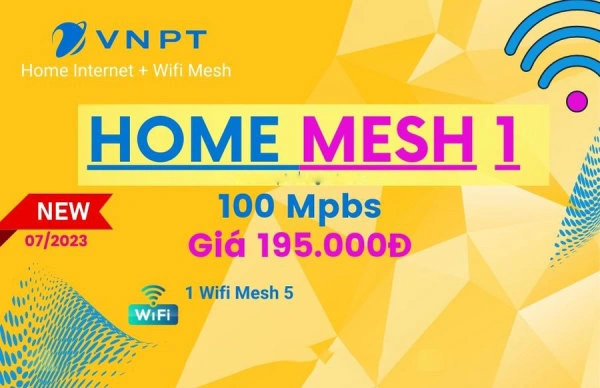 Home Internet Wifi Mesh, 100Mbps Gói Mesh 1